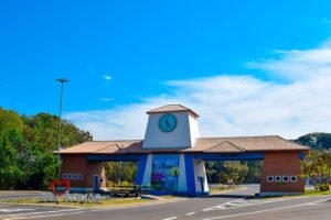 tem-clinica-de-remocao-de-tatuagem-em-aguas-de-sao-pedro