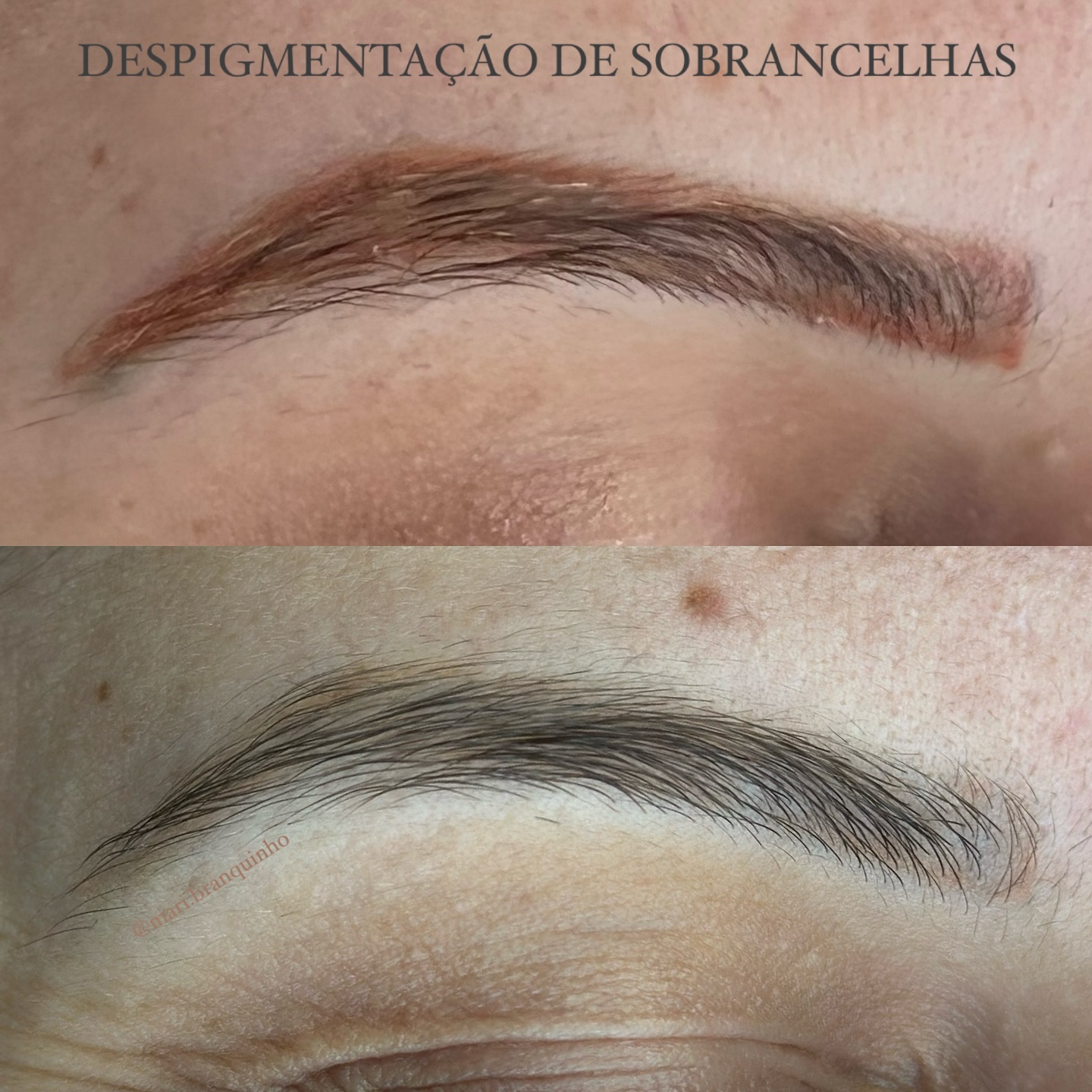 helltattoogoiania_1731982221081