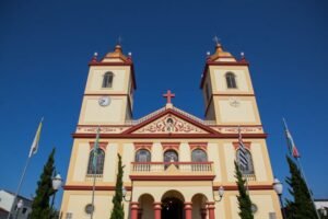 Remoção de tatuagem bom jesus dos perdões