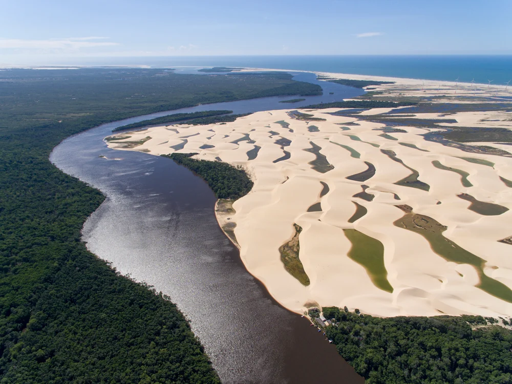 remocao-de-tatuagem-no-maranhao-onde-fazer - foto - conexão 123 milhas