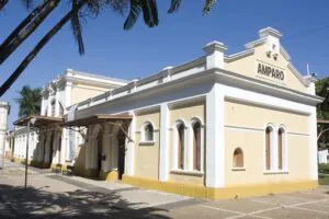 remocao-de-tatuagem-em-amparo