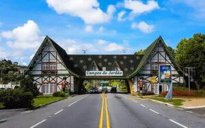 remocao-de-tatuagem-em-campos-do-jordao