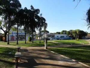 clinica-de-remocao-de-tatuagem-em-alfredo-marcondes